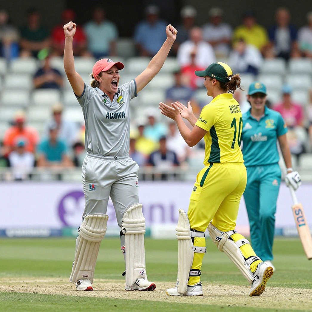 The Empty Scorebook: The Cricket Analysis Report That Refused to Fill in the Blanks